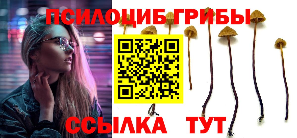 Галлюциногенные грибы мухоморы  Псилоцибиновые грибы Psilocybe  Михайловск  Вход с VPN 